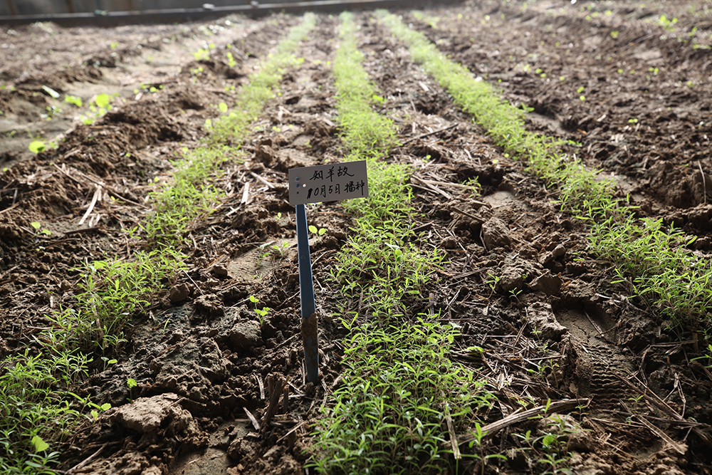 1548033735584119.jpg IMG_8852.jpg